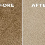 How to Extend the Life of Your Carpet: Proven Maintenance Tips